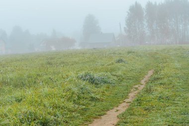 Sis kaplı dar bir toprak yol çimenli bir tarladan uzaklığa doğru esiyor. Çevredeki yeşillik çiğ ile ıslanmış ve yumuşak sis sakin, atmosferik bir hava yaratıyor..