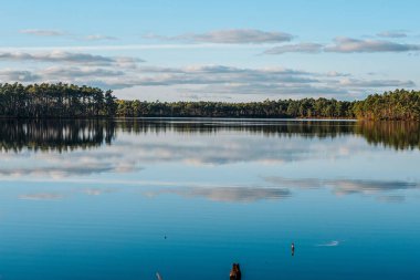 Sakin bir göl, berrak mavi bir gökyüzünü, dağınık bulutları ve bu huzurlu arazide bir ağaç ufkunu yansıtır. Suyun sakin yüzeyi aynaya benzer bir etki yaratır. Gökyüzünde ve suda geniş kopyalama alanı.