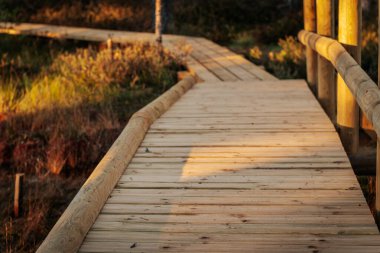 Wooden plank bridge with rustic railing illuminated by soft sunlight. The smooth boards form a path leading into the distance, surrounded by natural greenery. clipart