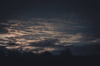 Karanlık bulutlarla gün batımı ormanın siluetini dramatik bir altın parıltısıyla yansıtıyor. Gökyüzünün zengin renkleri aşağıdaki karanlık manzarayla keskin bir tezat oluşturuyor..