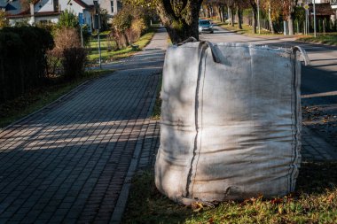 Yol kenarındaki asfalt bir alana yerleştirilmiş büyük, beyaz bir bez torbanın yakın çekimi. Çanta doldurulmuş ve ağaçlardan büyük yapraklar toplamak için kullanılmış gibi görünüyor.. 