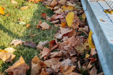 Bright autumn leaves lie on a wooden fence next to a quiet path leading to a cozy house surrounded by colorful seasonal foliage. Perfect for fall and country themes. clipart