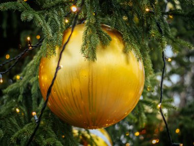 Su damlacıklarıyla süslenmiş parlak altın bir Noel süsü, yeşil bir köknar dalına asılı, parlayan ışıklar ve şenlikli bir açık hava atmosferiyle çevrili..