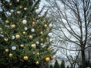 Açık havada altın ve beyaz süslemelerle süslenmiş büyük bir Noel ağacı, parlayan ışıklar, huzurlu bir park ve şehir zeminiyle çevrili tatil sezonunu kutlayan.