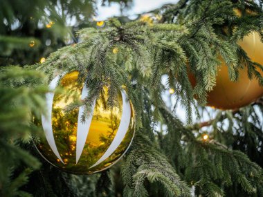 Yumuşak bokeh ışıkları ve şenlikli yeşilliklerle çevrili yemyeşil bir köknar dalından sarkan beyaz çizgili parlak altın bir Noel süsü..