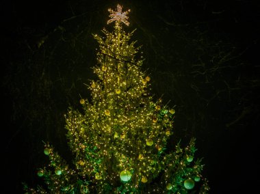 Güzel dekore edilmiş bir Noel ağacı, ılık sarı ışıklar ve süslemelerle parıldıyor, yıldızlı bir tepeyle taçlandırılmış karanlık gökyüzünde..