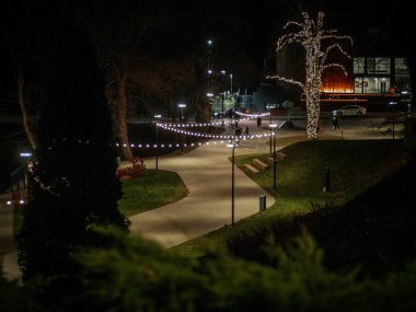 İp ışıklarıyla aydınlatılan huzurlu bir park yolu ve arka planda modern bir bina bulunan, tatil süslemelerine sarılı parlayan bir ağaç..