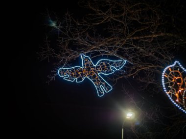 Güvercin şekilli ışık süslemeleri, beyaz ve altın renginde parıldıyor, geceleri çıplak ağaç dallarına bağlı. Karanlık gökyüzünde yaratıcı bir aydınlatma gösterisi.