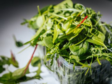 Plastik bir kabın içinde ıspanak ve roka da dahil taze salata yeşillikleri yakın plan. Parlak renkler ve dokular doğal tazeliği vurgular..
