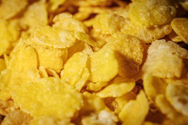 Çıtır çıtır ve parlak sarı renkli altın mısır gevreğinin detaylı bir makro çekimi, doğal cazibelerini vurguluyor..