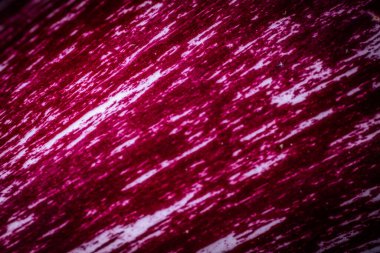 Koyu kırmızı ve beyaz çizgili parlak çizgili bir patlıcanın yakın plan görüntüsü. Doku ve parlak yüzey çarpıcı ışıklandırmayla vurgulanır..