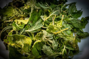 Koyu arkaplanda kurumuş yeşil nane yapraklarının desenli yakın çekimi, karmaşık damarları ve doğal desenleri vurguluyor..