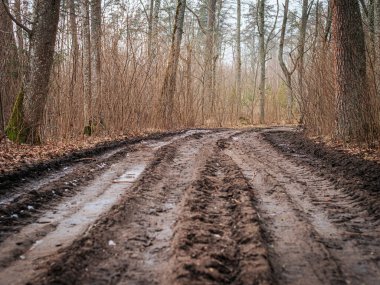 Kırsal bir bölgeye giden su birikintileriyle dolu derin lastik izleri olan engebeli, çamurlu bir toprak yol. Islak toprak ve yansımalar pürüzlü, dokulu bir sahne yaratır..