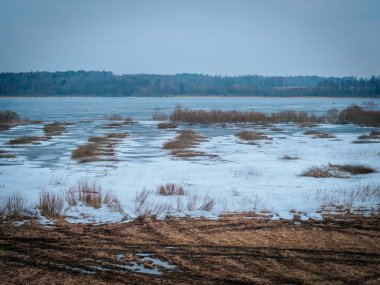 Ön planda kahverengi çimenler ve eriyen kar parçalarıyla kısmen donmuş bir göl manzarası. Yapraksız çalılar ve uzak ağaçlar dingin kış-bahar geçiş sahnesine derinlik katıyor..