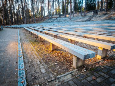  Uzun ağaçlarla çevrili bir açık hava amfi tiyatrosundaki ahşap banklar. Sıcak güneş ışığı oturma alanına uzun gölgeler düşürüyor ve huzurlu bir atmosfer yaratıyor..