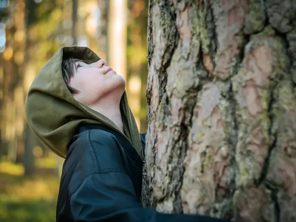 Kapüşonlu ceketli küçük bir çocuk ağaca sarılıyor ve nazikçe kameraya bakıyor. Ağaçların arasından süzülen sıcak güneş ışığı barışçıl ve doğal bir atmosfer yaratır..