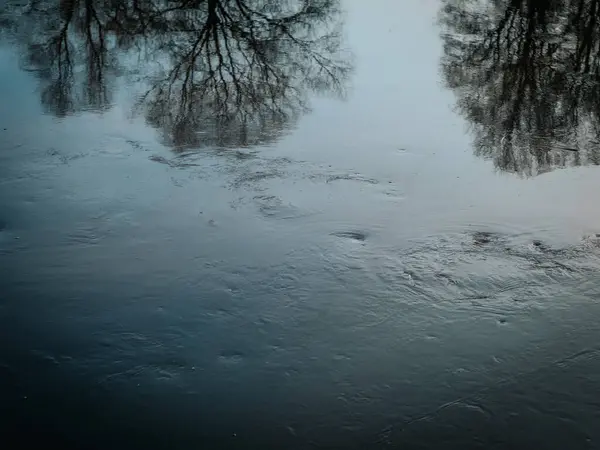 Suyun pürüzsüz yüzeyinde yapraksız ağaçların yansımaları karamsar ve soyut bir manzara yaratıyor. Yumuşak dalgalar ve kabarcıklar barışçıl görüntüye dokuyu ekler.