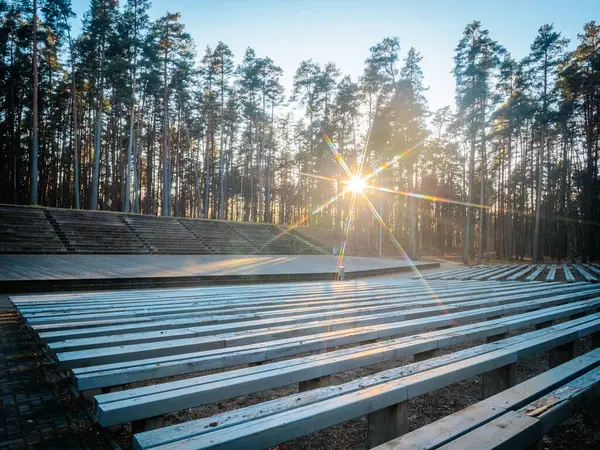 Güneş uzun çam ağaçlarının arasından parlayarak, huzurlu bir orman ortamında ahşap bir amfi tiyatronun üzerine yıldız patlaması etkisi yaratır. Sahne doğal güzellik ve sükuneti yakalar..