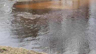 Buz parçaları bir nehirde nazikçe yüzerek sakin ve doğal bir kış manzarası yaratır. Sakin su, mevsimin soğuk ve huzurlu atmosferini yansıtıyor..