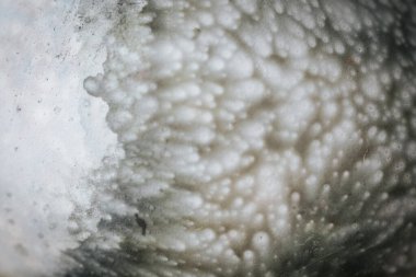 Ahşap bir yüzey üzerinde duran siyah, gri ve beyaz tonlarında eşsiz bir mermer dokuya sahip tek bir yumurta. Karmaşık yüzey deseni taş benzeri bir etki yaratıyor..