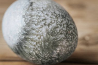 Ahşap bir yüzey üzerinde duran siyah, gri ve beyaz tonlarında eşsiz bir mermer dokuya sahip tek bir yumurta. Karmaşık yüzey deseni taş benzeri bir etki yaratıyor..