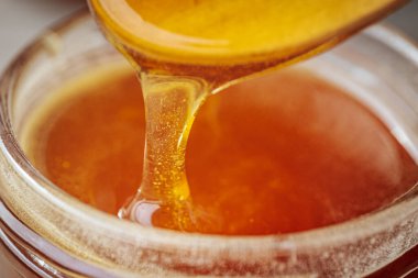 Bir kaşıktan cam bir kavanoza damlayan altın bal, zengin, pürüzsüz dokusunu ve doğal rengini gözler önüne seriyor. Sıcak tonlar kompozisyona hakim..