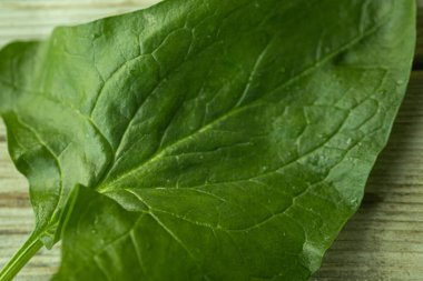 Parlak yeşil ıspanak yaprağının görülebilir dokusu ve küçük su damlacıkları kırsal ahşap bir yüzeye yerleştirilmiş yakın çekim görüntüsü. Sağlık ve yemek için mükemmel..