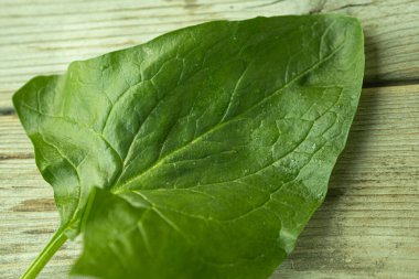 Parlak yeşil ıspanak yaprağının görülebilir dokusu ve küçük su damlacıkları kırsal ahşap bir yüzeye yerleştirilmiş yakın çekim görüntüsü. Sağlık ve yemek için mükemmel..