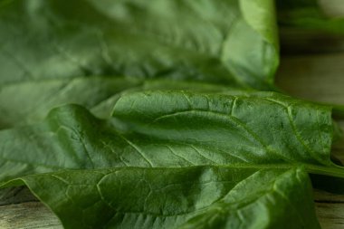 Parlak yeşil ıspanak yaprağının görülebilir dokusu ve küçük su damlacıkları kırsal ahşap bir yüzeye yerleştirilmiş yakın çekim görüntüsü. Sağlık ve yemek için mükemmel..