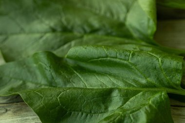 Parlak yeşil ıspanak yaprağının görülebilir dokusu ve küçük su damlacıkları kırsal ahşap bir yüzeye yerleştirilmiş yakın çekim görüntüsü. Sağlık ve yemek için mükemmel..