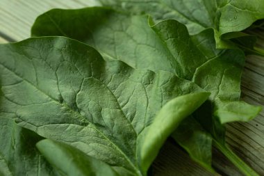 Parlak yeşil ıspanak yaprağının görülebilir dokusu ve küçük su damlacıkları kırsal ahşap bir yüzeye yerleştirilmiş yakın çekim görüntüsü. Sağlık ve yemek için mükemmel..