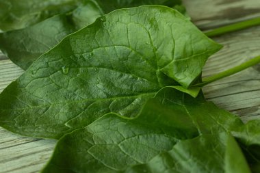 Parlak yeşil ıspanak yaprağının görülebilir dokusu ve küçük su damlacıkları kırsal ahşap bir yüzeye yerleştirilmiş yakın çekim görüntüsü. Sağlık ve yemek için mükemmel..