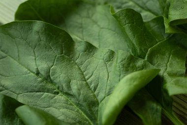 Parlak yeşil ıspanak yaprağının görülebilir dokusu ve küçük su damlacıkları kırsal ahşap bir yüzeye yerleştirilmiş yakın çekim görüntüsü. Sağlık ve yemek için mükemmel..