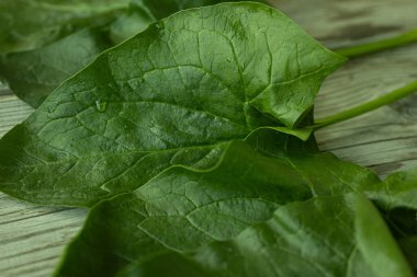 Parlak yeşil ıspanak yaprağının görülebilir dokusu ve küçük su damlacıkları kırsal ahşap bir yüzeye yerleştirilmiş yakın çekim görüntüsü. Sağlık ve yemek için mükemmel..