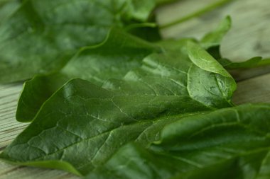 Parlak yeşil ıspanak yaprağının görülebilir dokusu ve küçük su damlacıkları kırsal ahşap bir yüzeye yerleştirilmiş yakın çekim görüntüsü. Sağlık ve yemek için mükemmel..