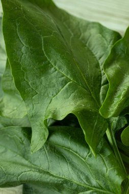 Parlak yeşil ıspanak yaprağının görülebilir dokusu ve küçük su damlacıkları kırsal ahşap bir yüzeye yerleştirilmiş yakın çekim görüntüsü. Sağlık ve yemek için mükemmel..