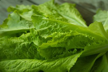 Ahşap bir yüzeye yerleştirilmiş, görünür dokusu ve nemi olan çıtır çıtır yeşil yaprak marulu. Taze detayları vurgulamak için mükemmel aydınlatılmış..