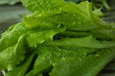 Ahşap bir yüzeye yerleştirilmiş, görünür dokusu ve nemi olan çıtır çıtır yeşil yaprak marulu. Taze detayları vurgulamak için mükemmel aydınlatılmış..