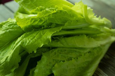 Ahşap bir yüzeye yerleştirilmiş, görünür dokusu ve nemi olan çıtır çıtır yeşil yaprak marulu. Taze detayları vurgulamak için mükemmel aydınlatılmış..