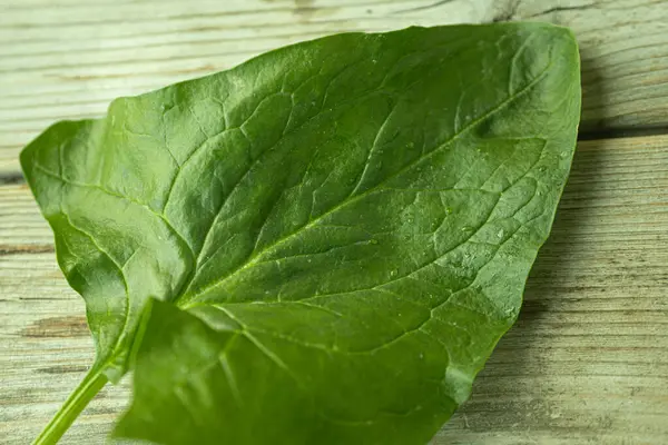 Parlak yeşil ıspanak yaprağının görülebilir dokusu ve küçük su damlacıkları kırsal ahşap bir yüzeye yerleştirilmiş yakın çekim görüntüsü. Sağlık ve yemek için mükemmel..