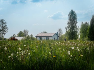 Karahindiba tohumu başları ve sarı çiçeklerle dolu parlak yeşil bir çayır biri hala yapım aşamasında olan iki modern eve doğru uzanır, açık mavi gökyüzüne karşı..