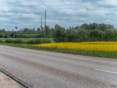 Sakin bir köy yolu, sakin ve bulutlu bir gökyüzünün altında geniş sarı kolza tohumu tarlalarıyla çevrili açık bir arazide yavaşça esiyor..