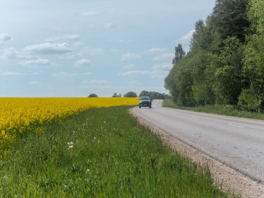 Araba, mavi gökyüzünün altında parlak kolza tohumu tarlaları ve yoğun yeşil ağaçlarla çevrili bir kır yolu boyunca ilerliyor..