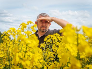 Orta yaşlı bir adam, parlak bir gökyüzünün altında, dağınık bulutlarla dolu parlak sarı bir kolza tohumu tarlasında dururken gözlerini güneşten korur..