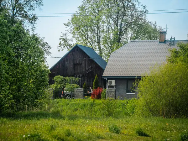 Karahindiba tohumu başları ve sarı çiçeklerle dolu parlak yeşil bir çayır biri hala yapım aşamasında olan iki modern eve doğru uzanır, açık mavi gökyüzüne karşı..