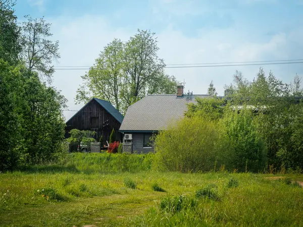 Karahindiba tohumu başları ve sarı çiçeklerle dolu parlak yeşil bir çayır biri hala yapım aşamasında olan iki modern eve doğru uzanır, açık mavi gökyüzüne karşı..