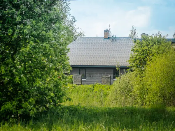 Gri çatılı modern bir ev. Parlak yeşil bir gökyüzünün altında, sık ağaçlar ve çalılarla kısmen gizlenmiş..