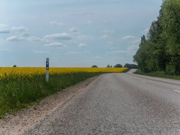 Sakin bir köy yolu, sakin ve bulutlu bir gökyüzünün altında geniş sarı kolza tohumu tarlalarıyla çevrili açık bir arazide yavaşça esiyor..