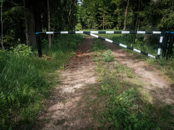 Siyah beyaz çizgili bir kapı, yeşil çimenler ve ağaçlarla çevrili güneşli bir ormanda toprak bir yola erişimi engelliyor..