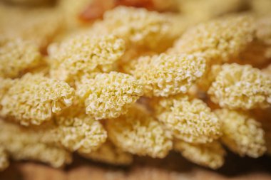 Çiçeklerin kümelenmiş, dalgalı dokuları ve karmaşıklığını gösteren krem renkli bitki yapılarının ayrıntılı bir makro görüntüsü. Zengin detaylara sahip organik bir bileşim..